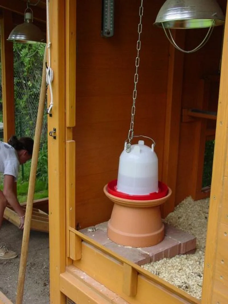 Frugal Heated Waterer