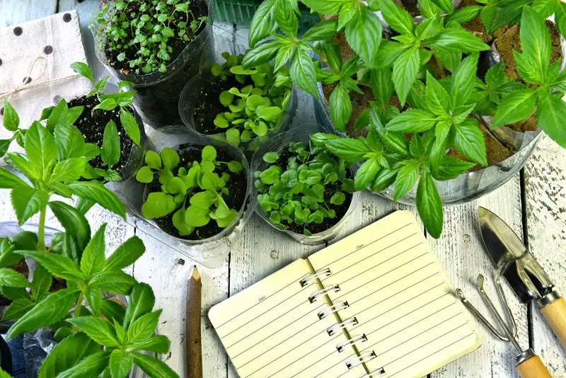 Garden Journaling