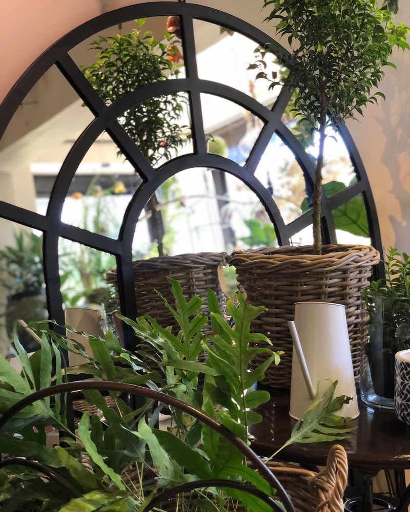 Garden Mirror Illusion