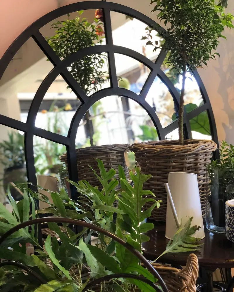 Garden Mirror Illusion