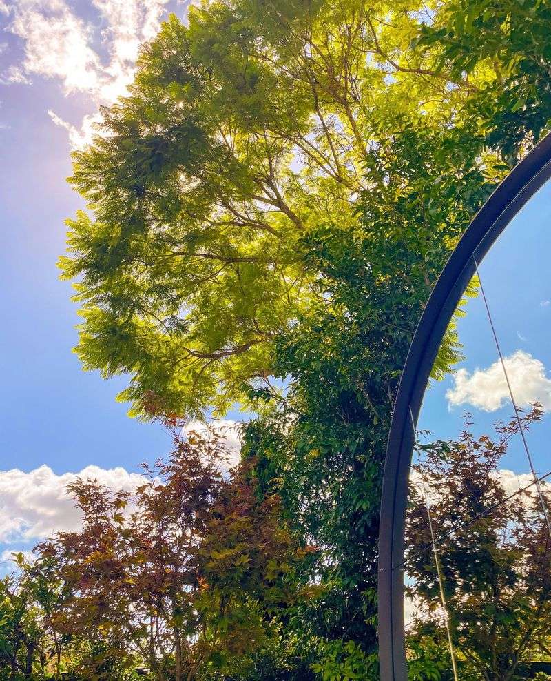 Garden Mirror Illusions