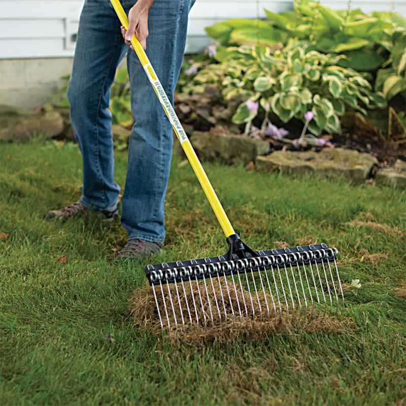 Garden Rake