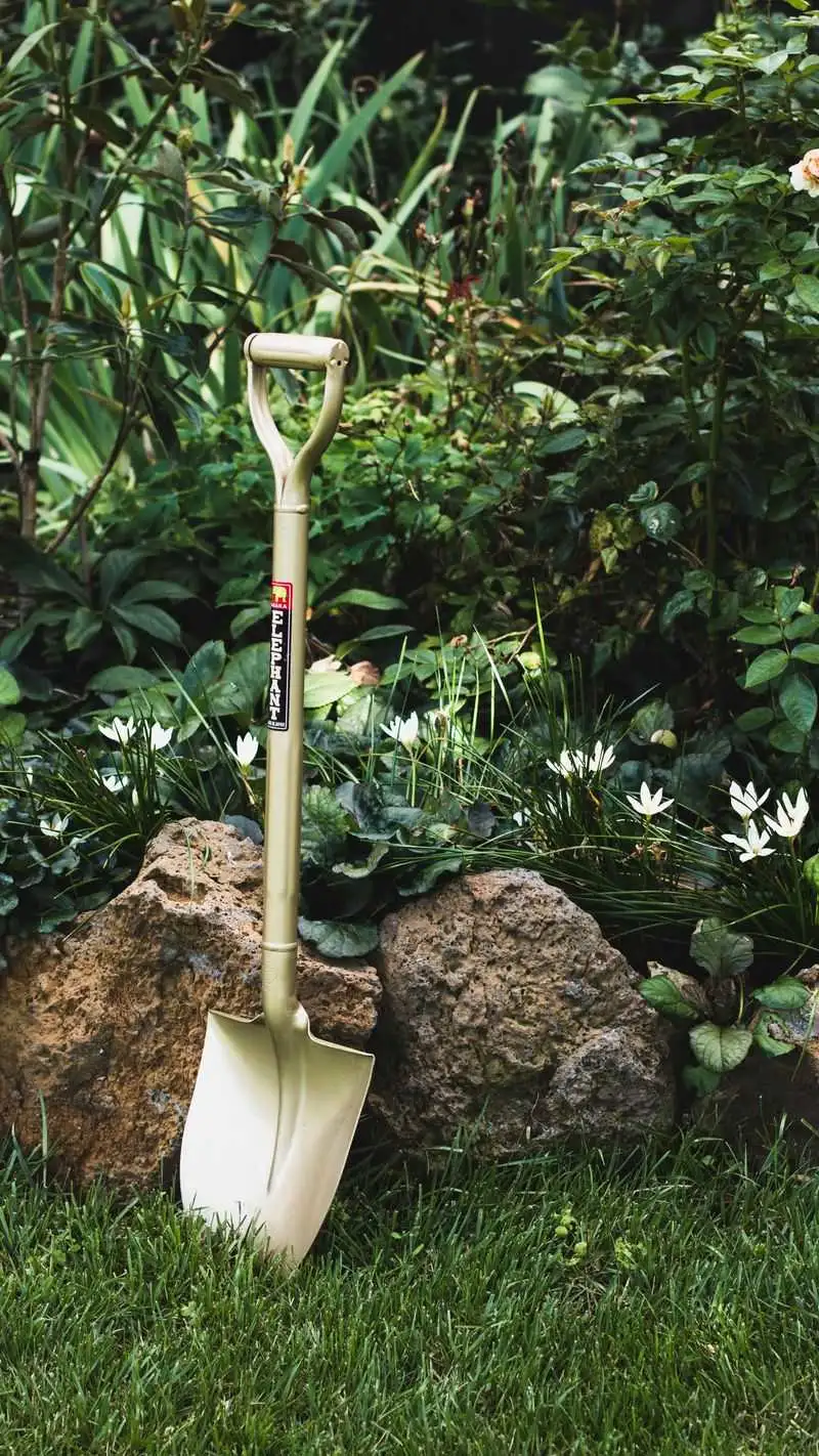 Garden Spade