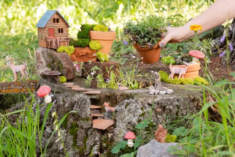 Fairy Garden