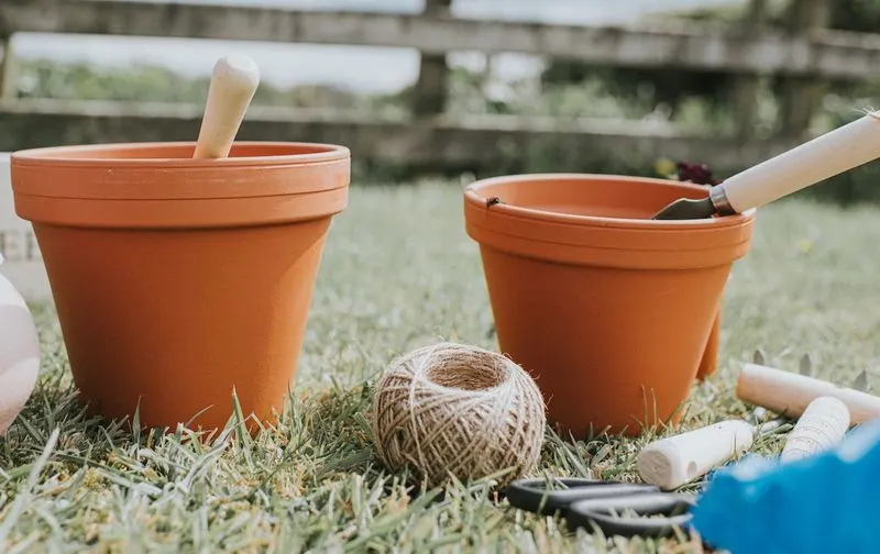 Garden Twine (Not Needed)