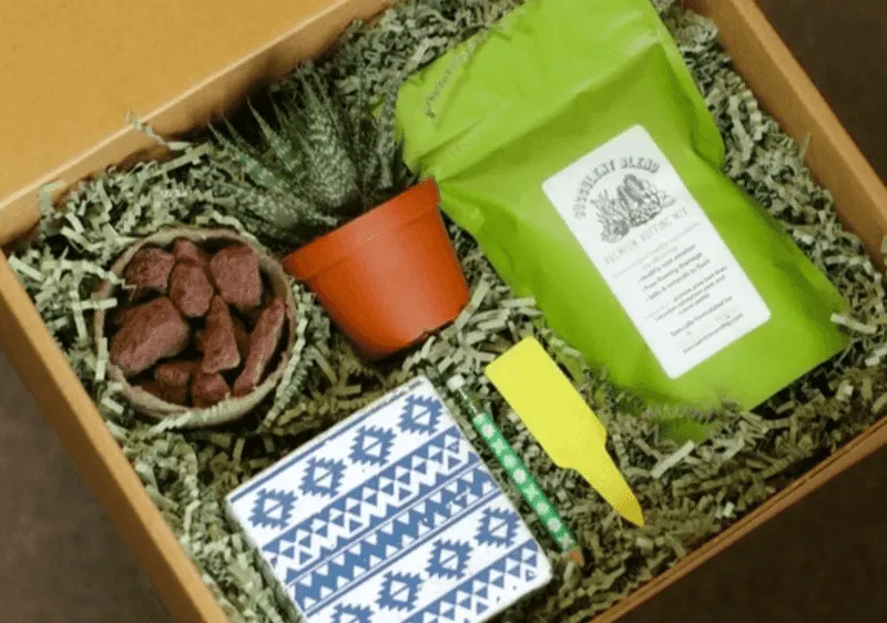 Gardening Subscription Boxes