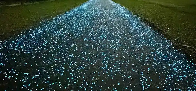 Glowing Pebble Pathway