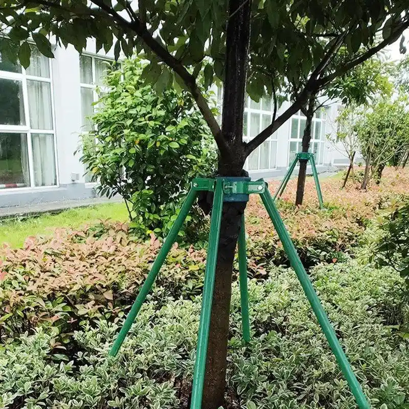 Supportive Tree Staking