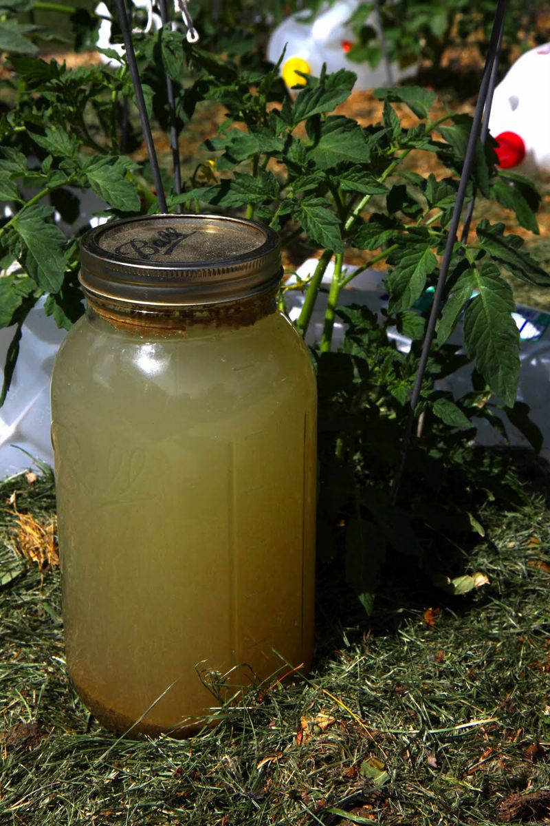 Grape Vinegar Tonic