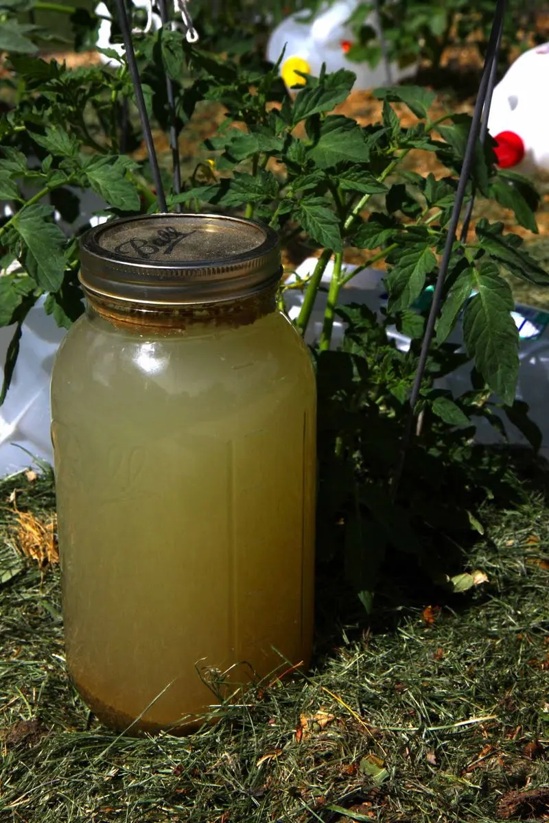 Grape Vinegar Tonic