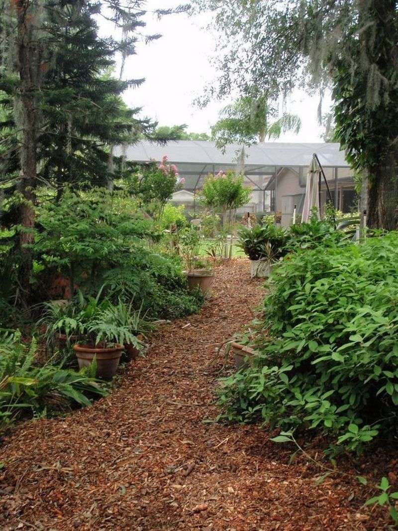 Wood Chip Trail