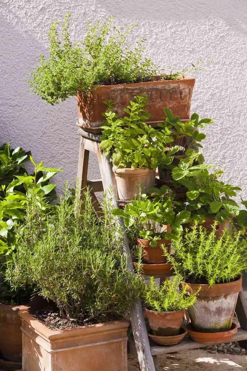 Herb Gardens