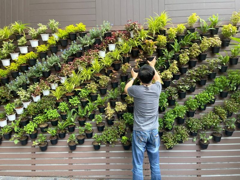 Grow Vertical Gardens