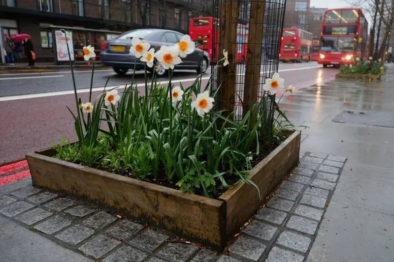 Guerilla Gardening
