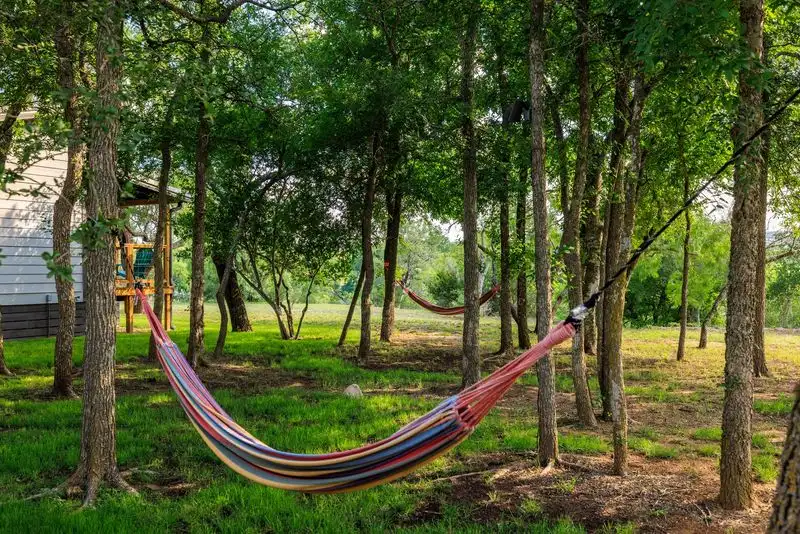 Hammock Haven Under Vines