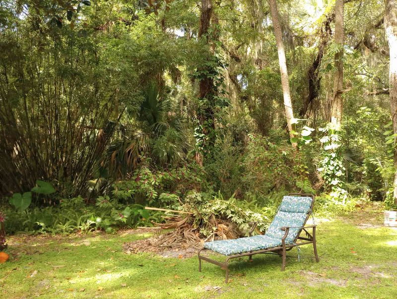 Hammock Hideaway