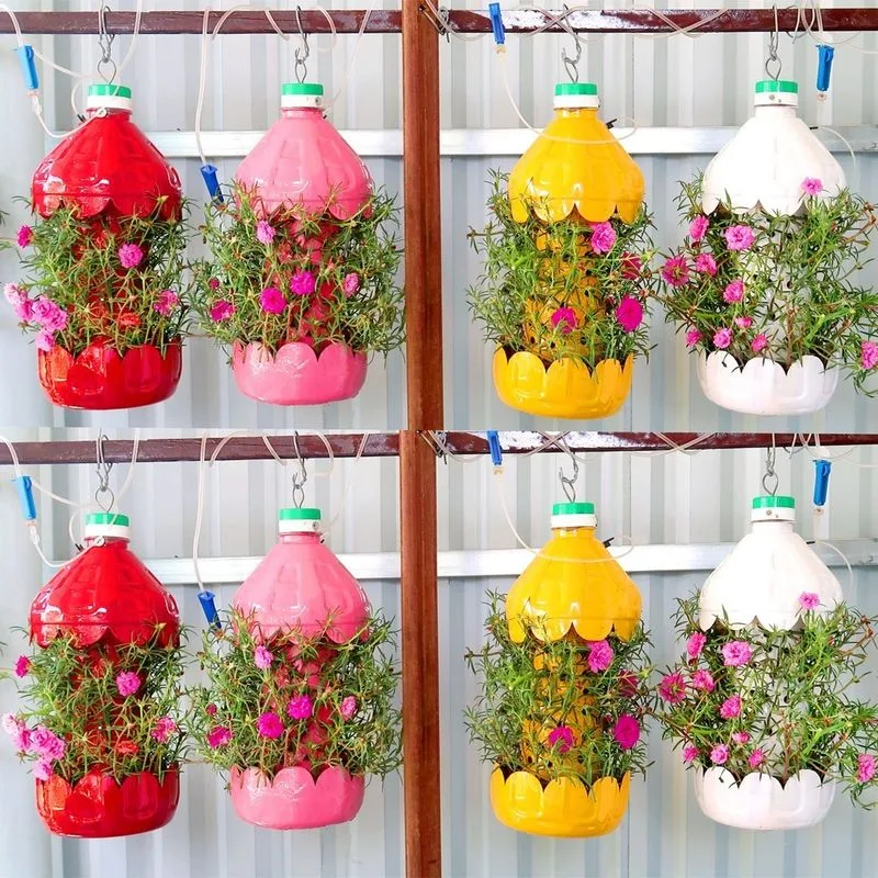 Hanging Bottle Garden