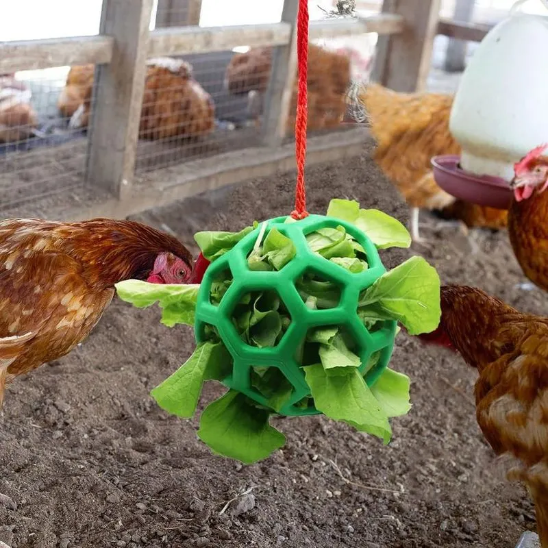 Hanging Cabbage Feeder