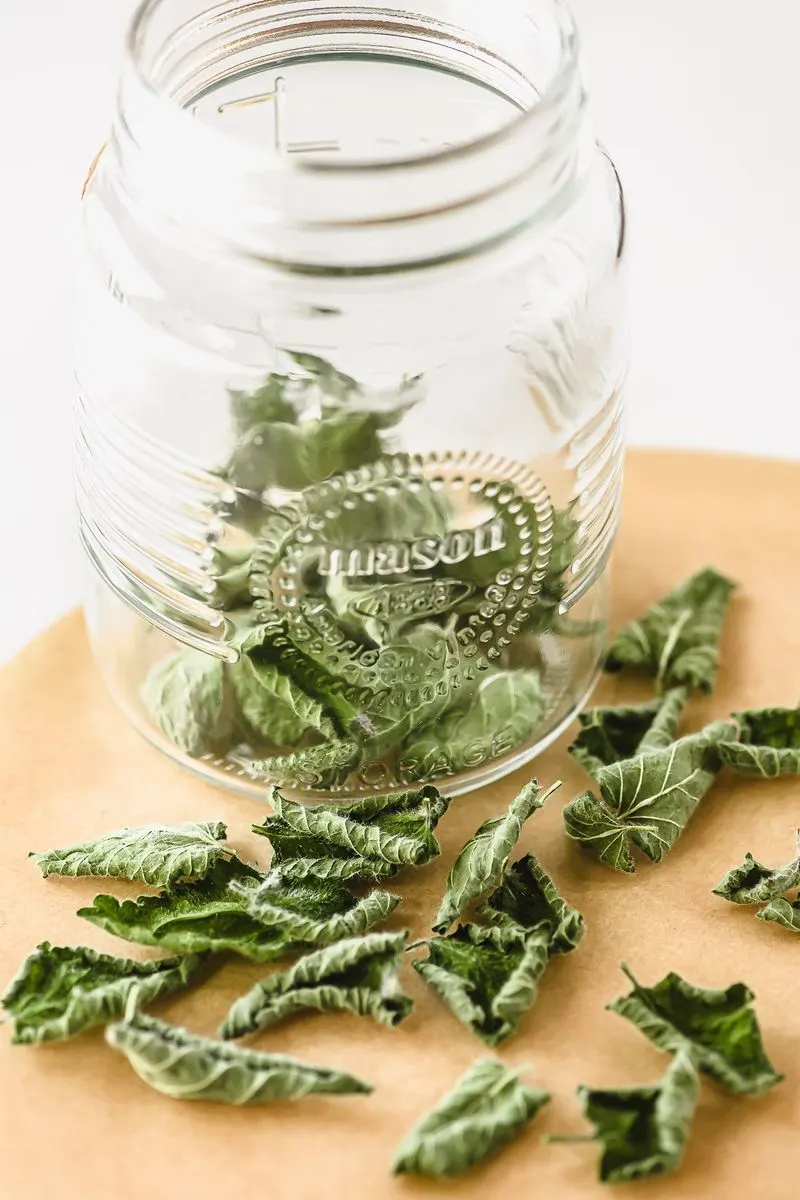 Herb Drying and Storage