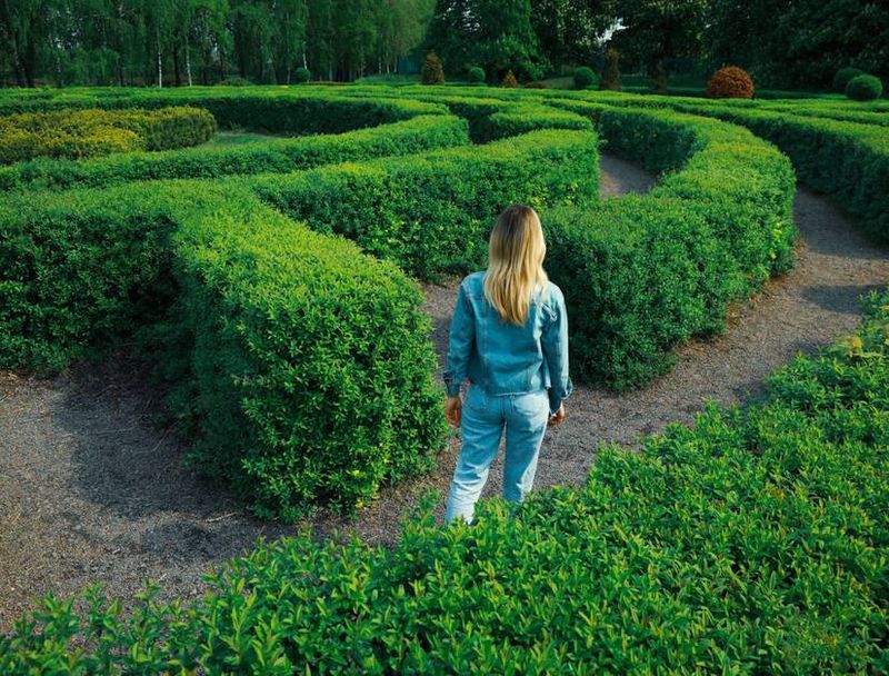 Hedge Mazes