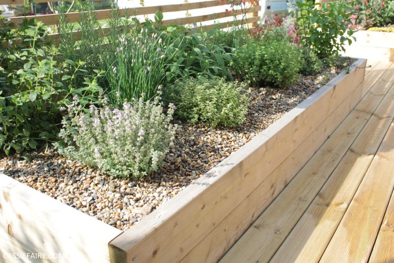 Herb Borders