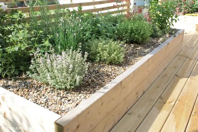 Herb Borders