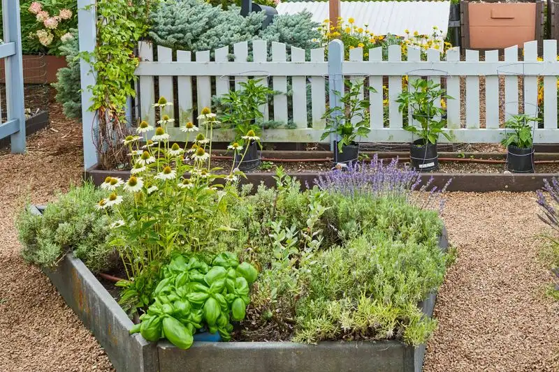 Herb Gardens