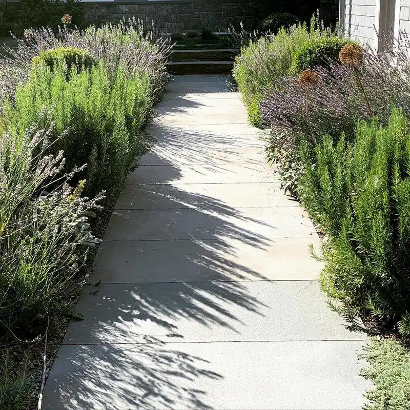 Herb Haven