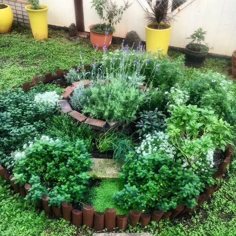 Herb Spiral Garden