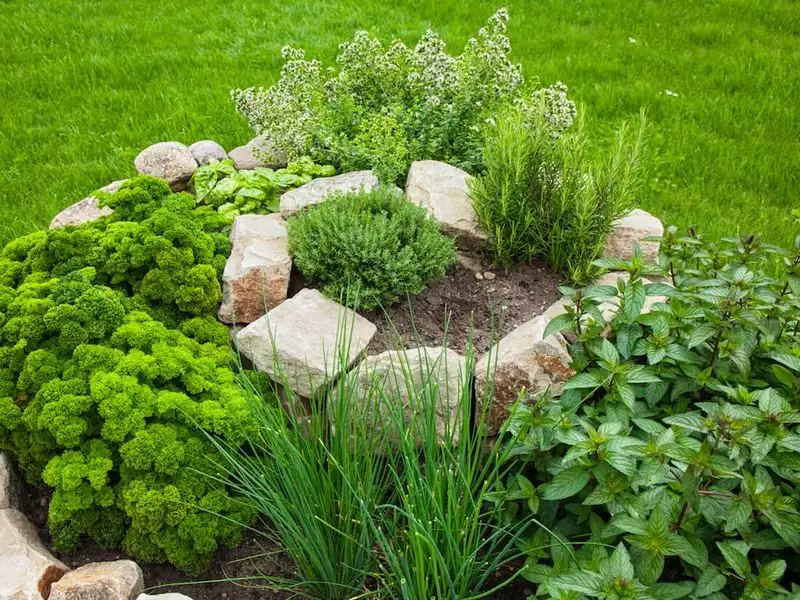 Herb Spirals