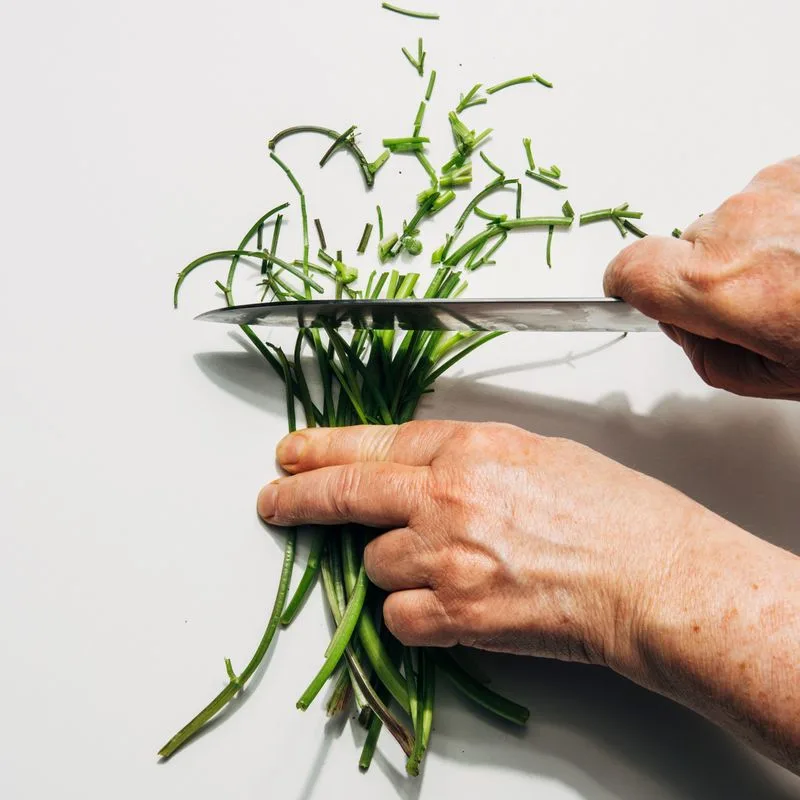 Herb Stems for Stock
