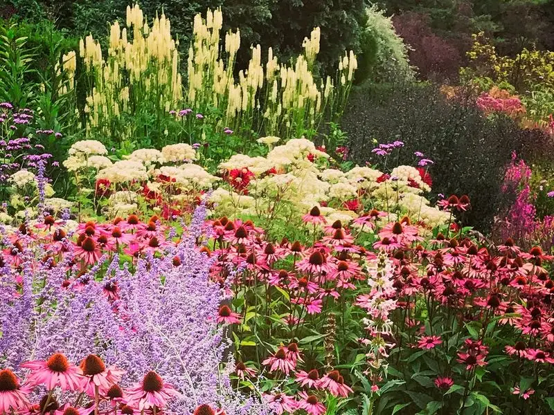 Herbaceous Borders