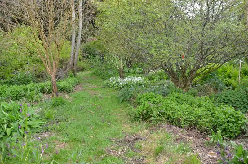 Soil Health Revival