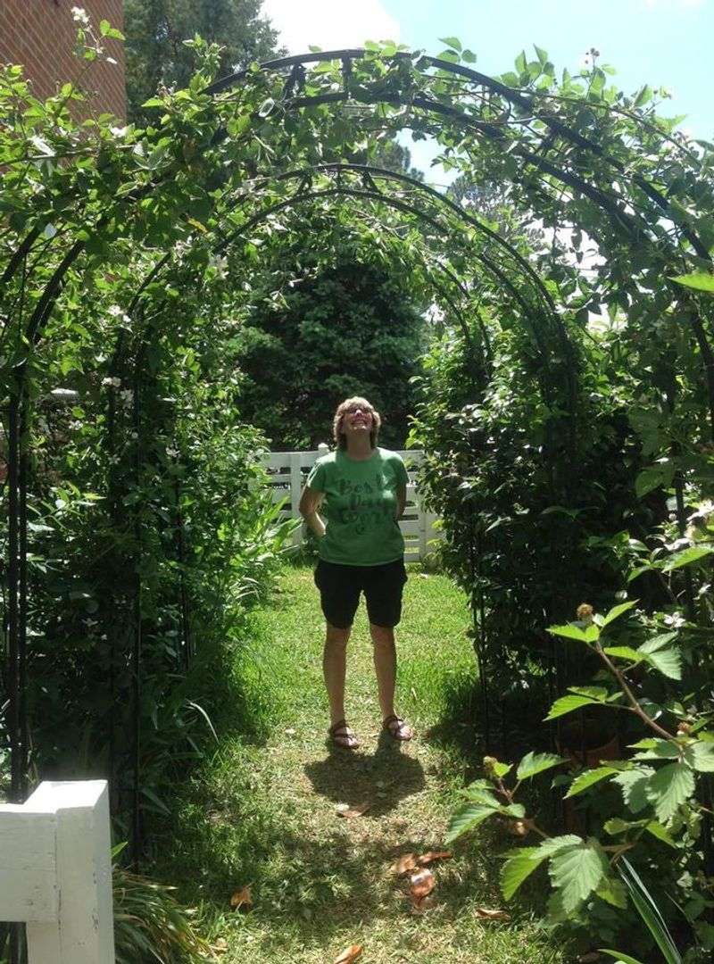 Blackberry Tunnel