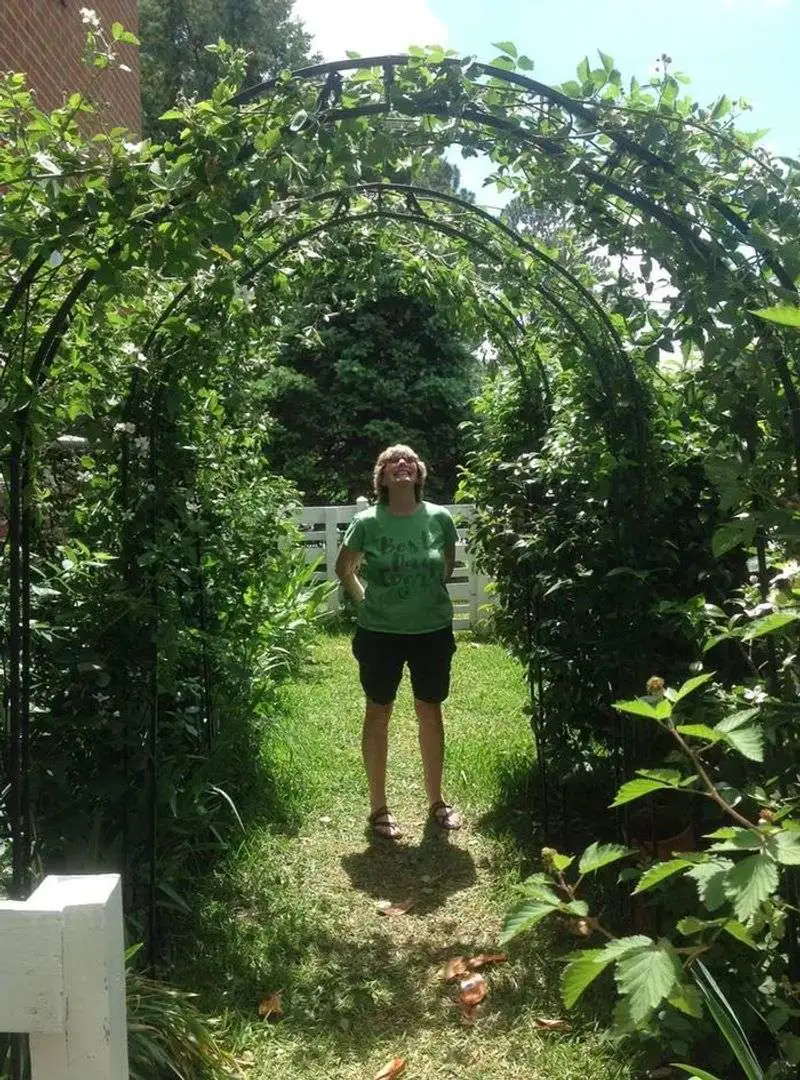 Blackberry Tunnel