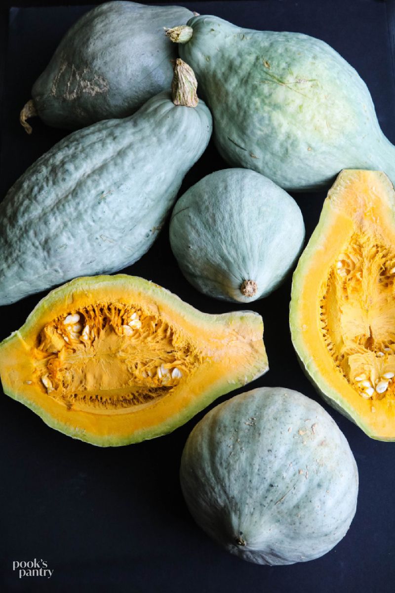 Hubbard Squash