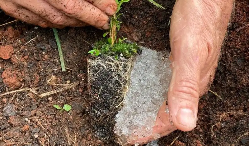Hydrogel Crystal Soil
