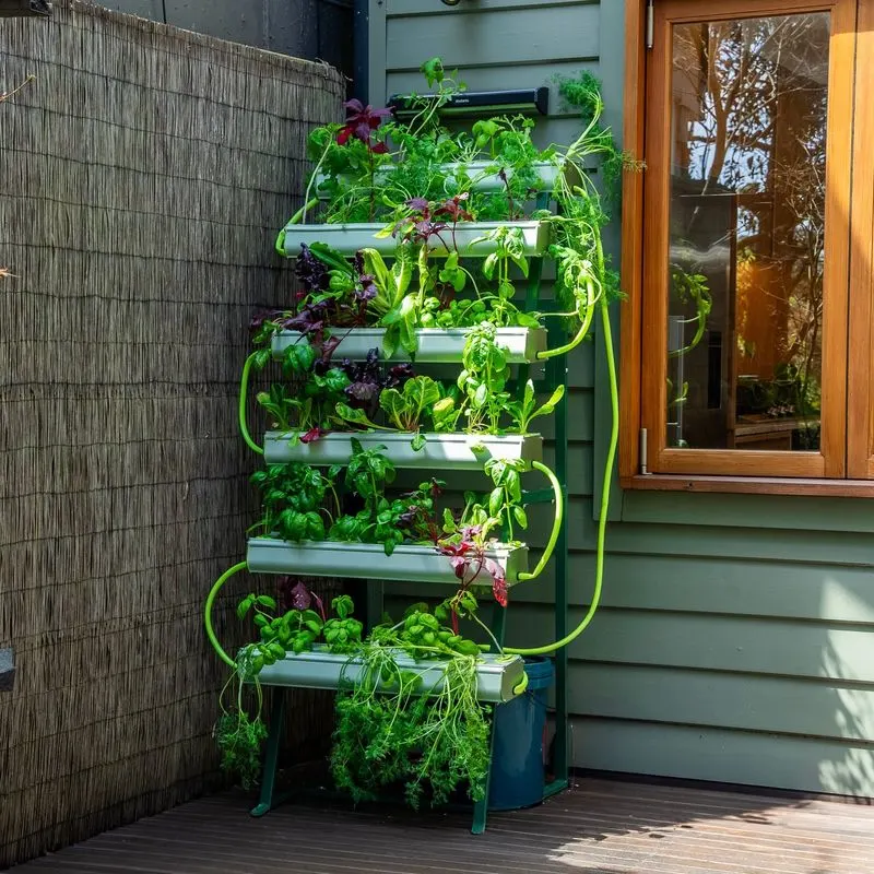 Hydroponic Systems