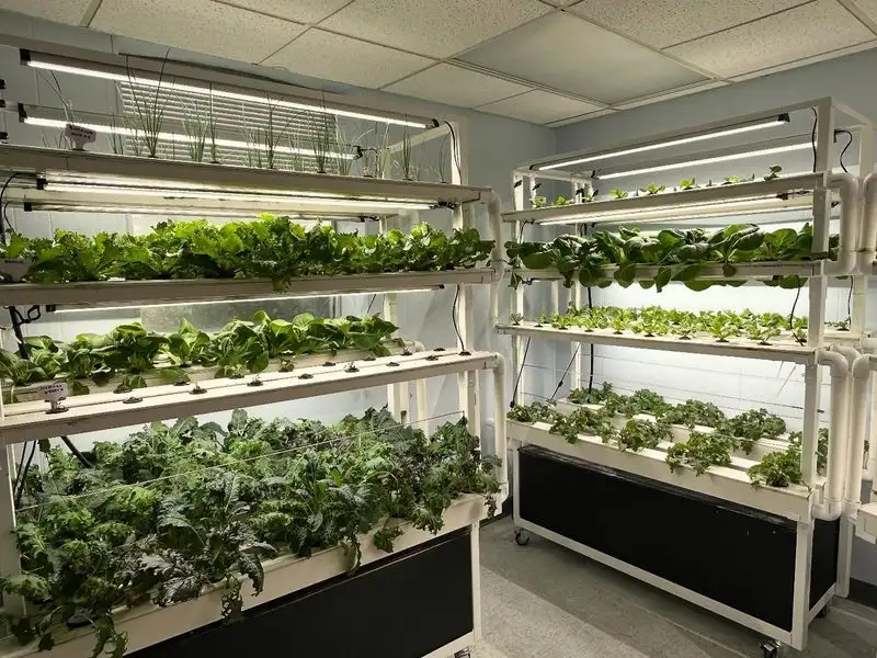 Hydroponic Systems