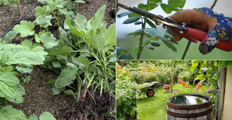 I Skipped These Spring Garden Chores—and Honestly, It Turned Out Better