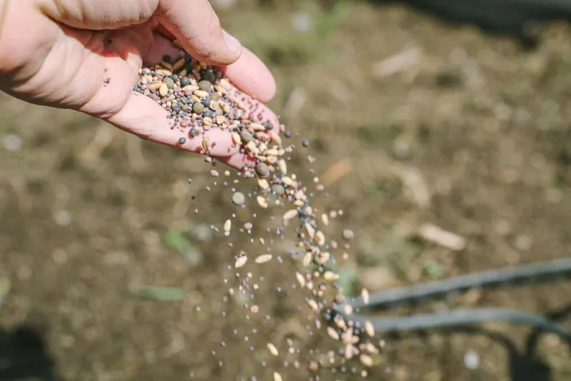 Ignoring Cover Crops