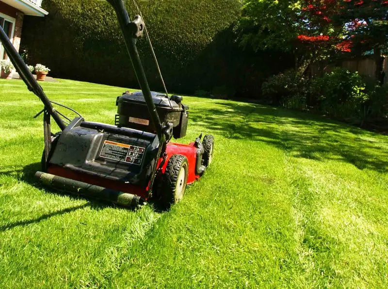 Mowing the Lawn Too Often
