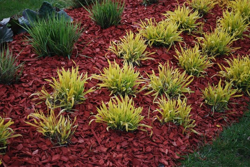 Using Colored Mulch