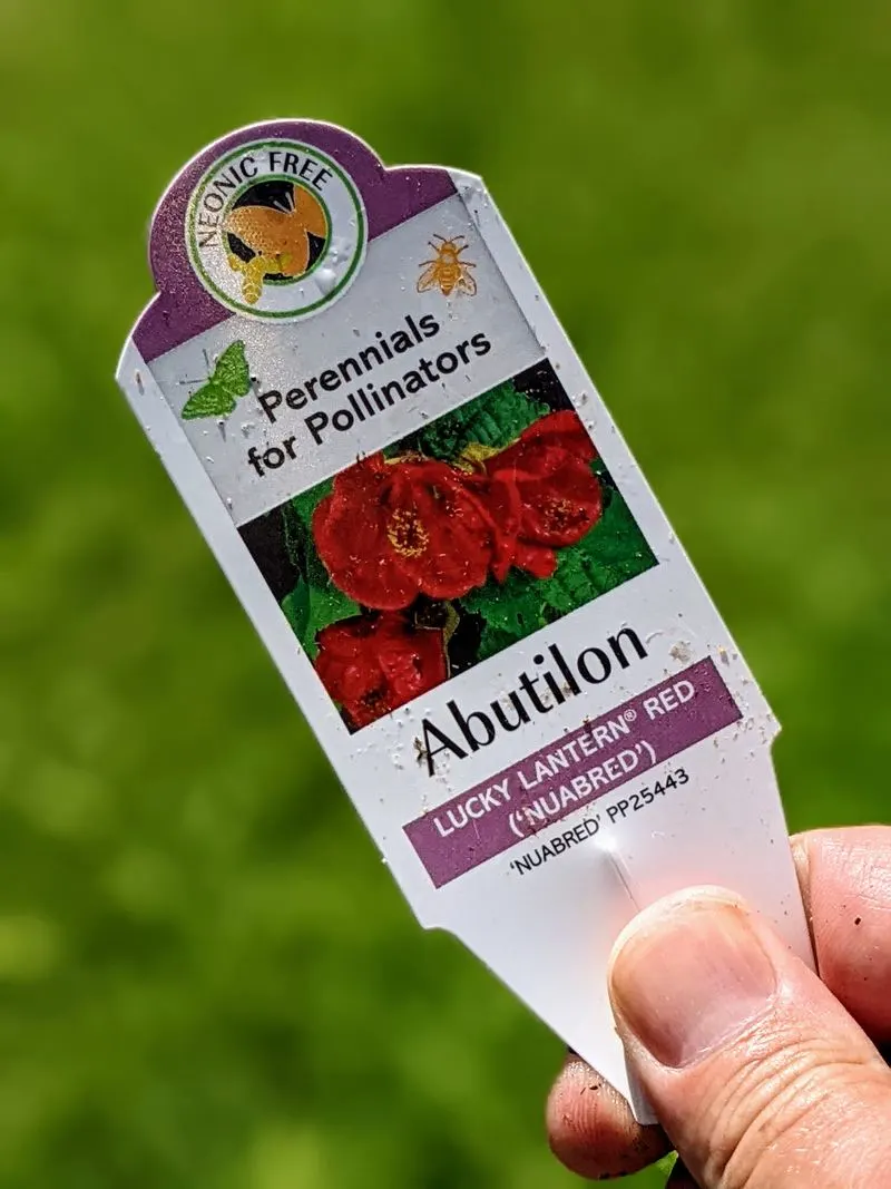 Ignoring Plant Labels