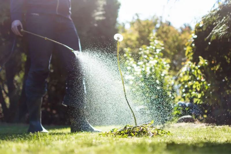 Using Chemical Herbicides