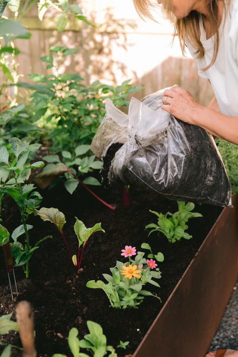 Using Wrong Soil
