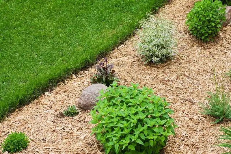 Neglecting Edging