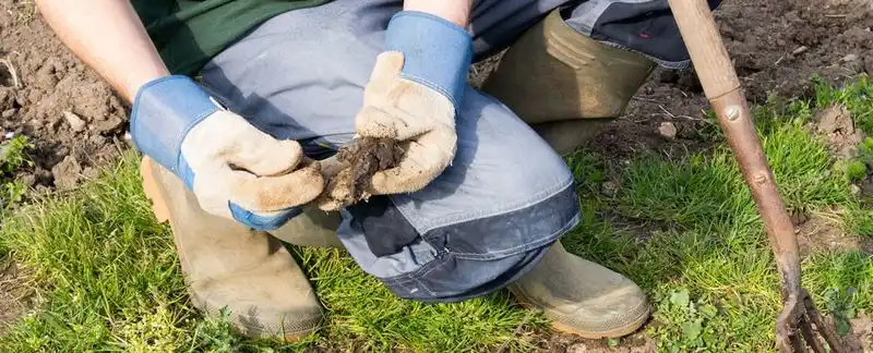Skipping Soil Testing