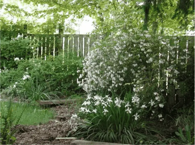 Planting Non-Native Species