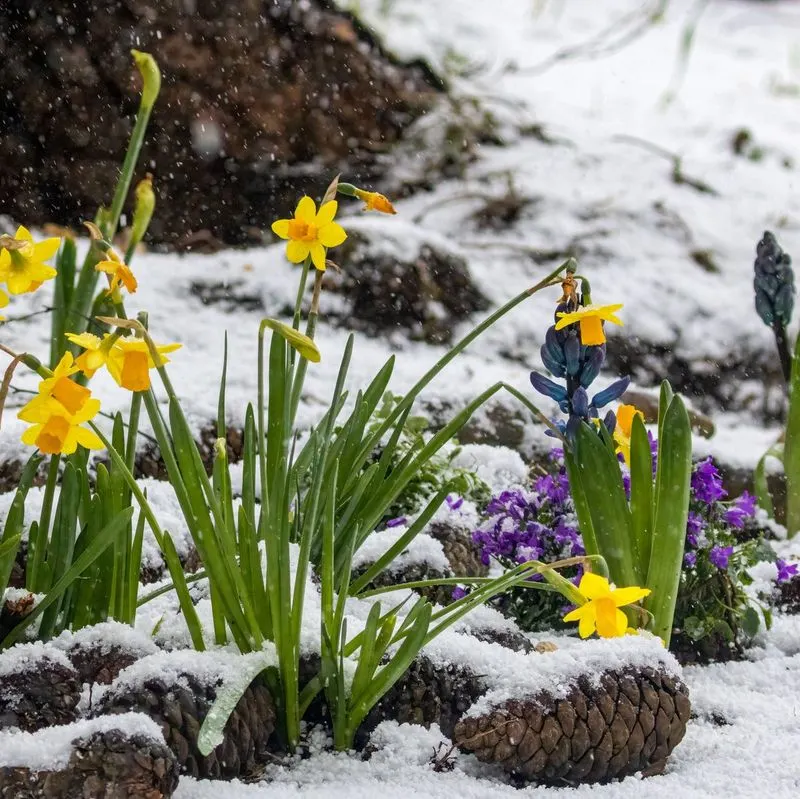 Ignoring Weather Conditions